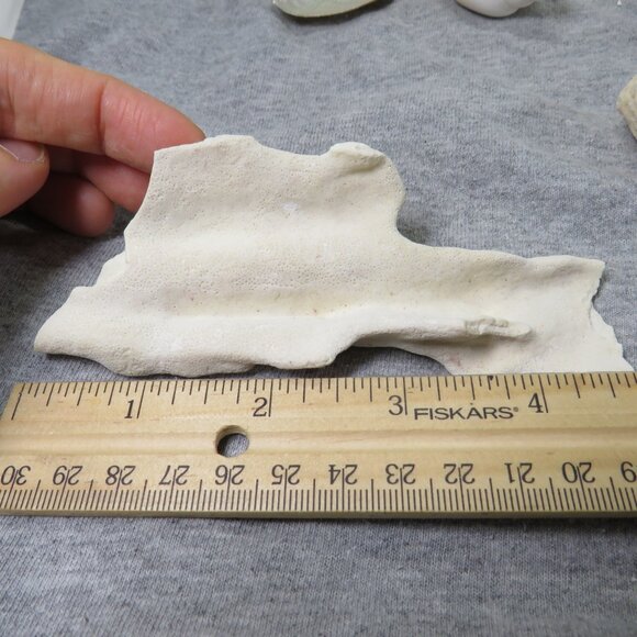 Real Sea Shells Vintage (2) Sandcastles Mr. Sandman OVER 5 POUNDS - Picture 14 of 14